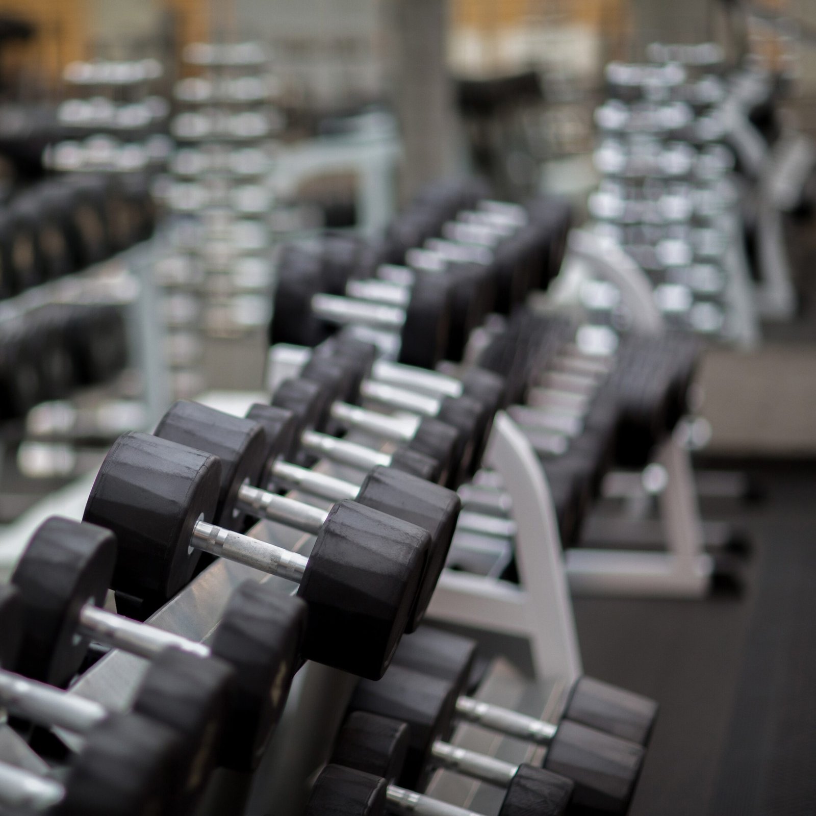 Rows of sports equipment for pumping biceps in contemporary gym